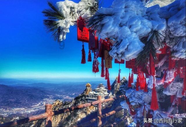 臭屁虫吃吃吃